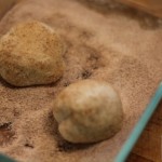 roll balls of dough in cinnamon and sugar