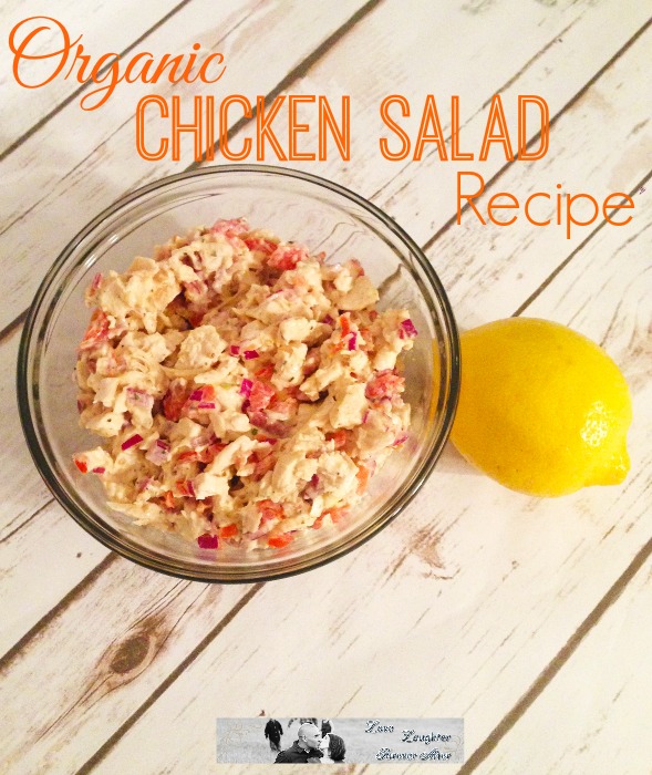 Tasty and easy to prepare Organic Chicken Salad Recipe 